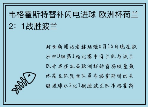 韦格霍斯特替补闪电进球 欧洲杯荷兰2：1战胜波兰