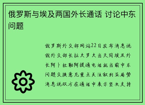 俄罗斯与埃及两国外长通话 讨论中东问题